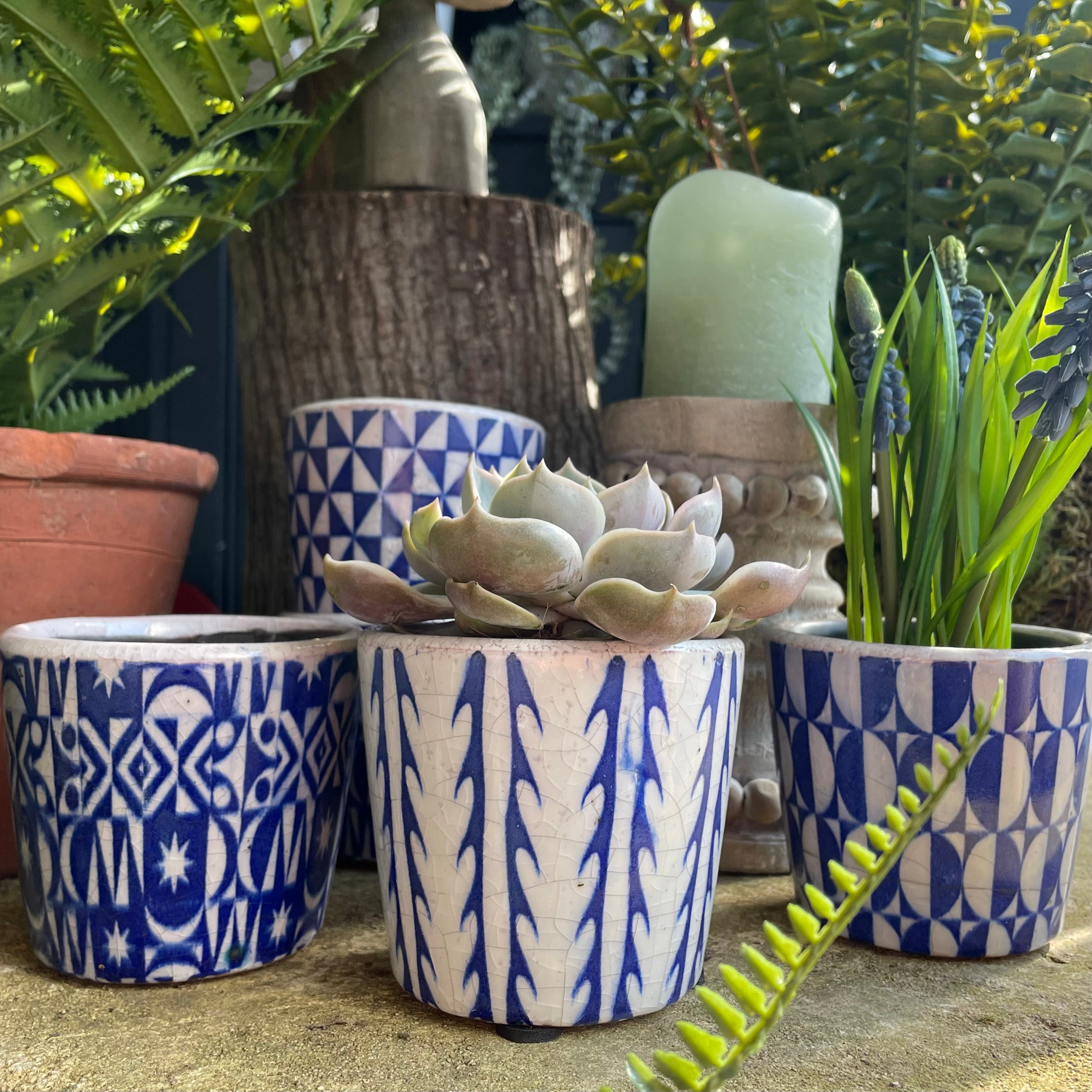 Glazed Cesar Pot Plant Pot Henderson's