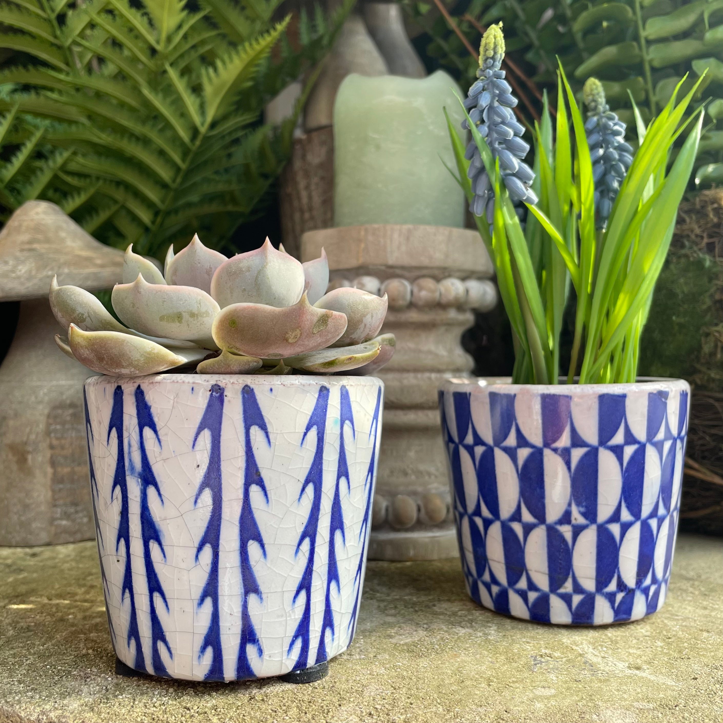 Glazed Cesar Pot Plant Pot Henderson's