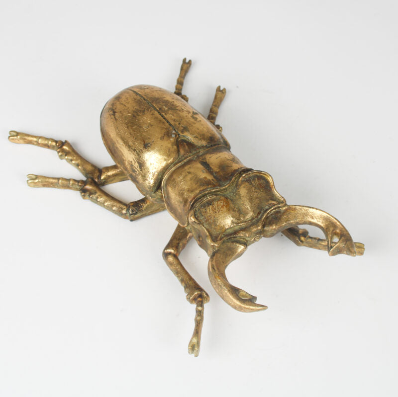 Gold Beetle Wall Décor Wall Art Henderson's 