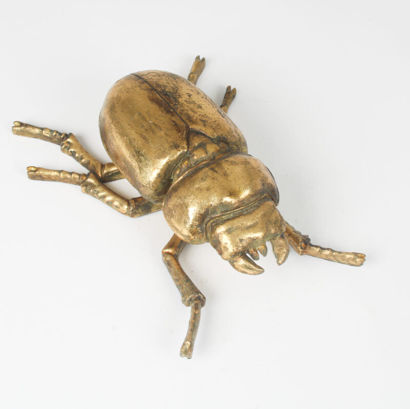 Gold Beetle Wall Décor Wall Art Henderson's 