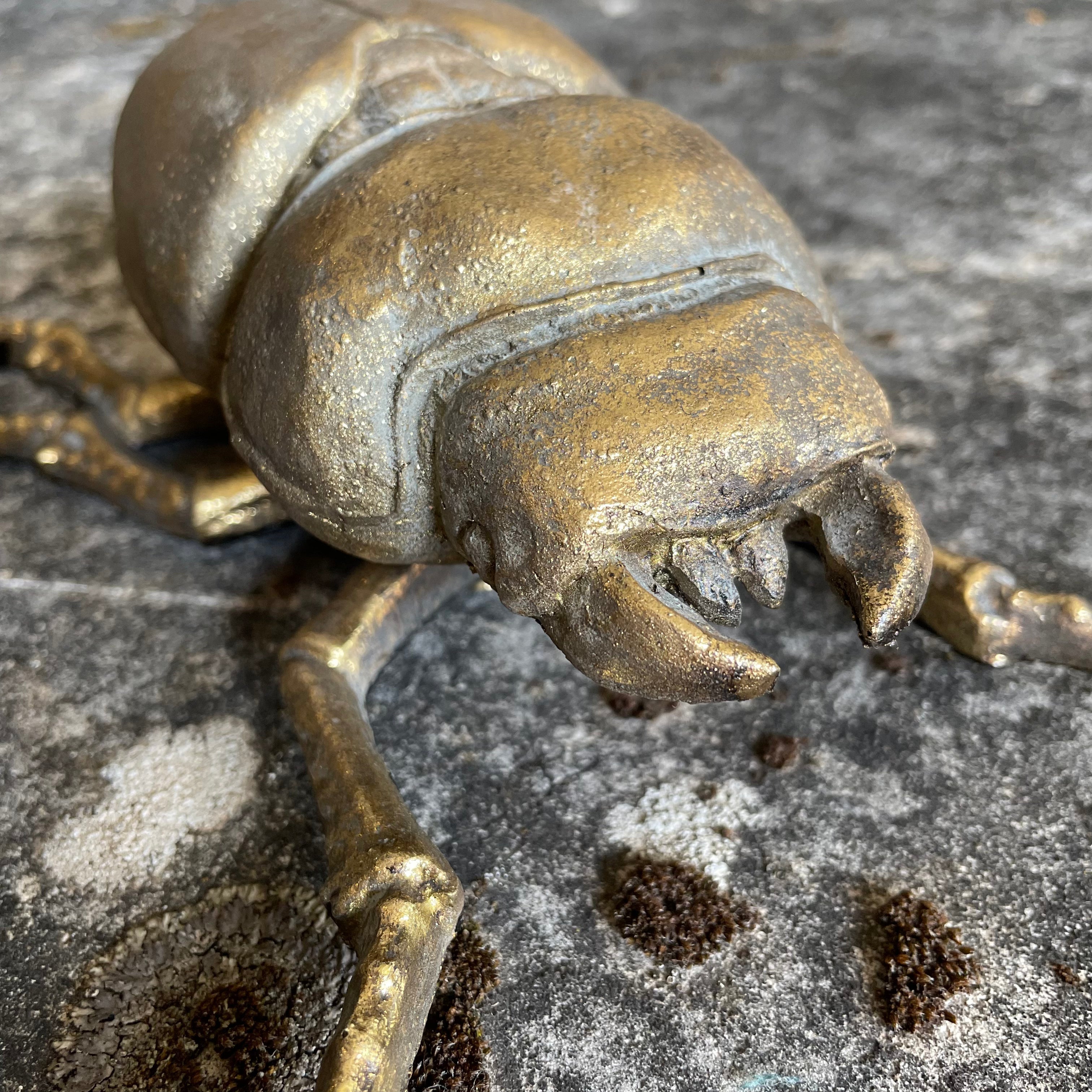 Gold Beetle Wall Décor Wall Art Henderson's