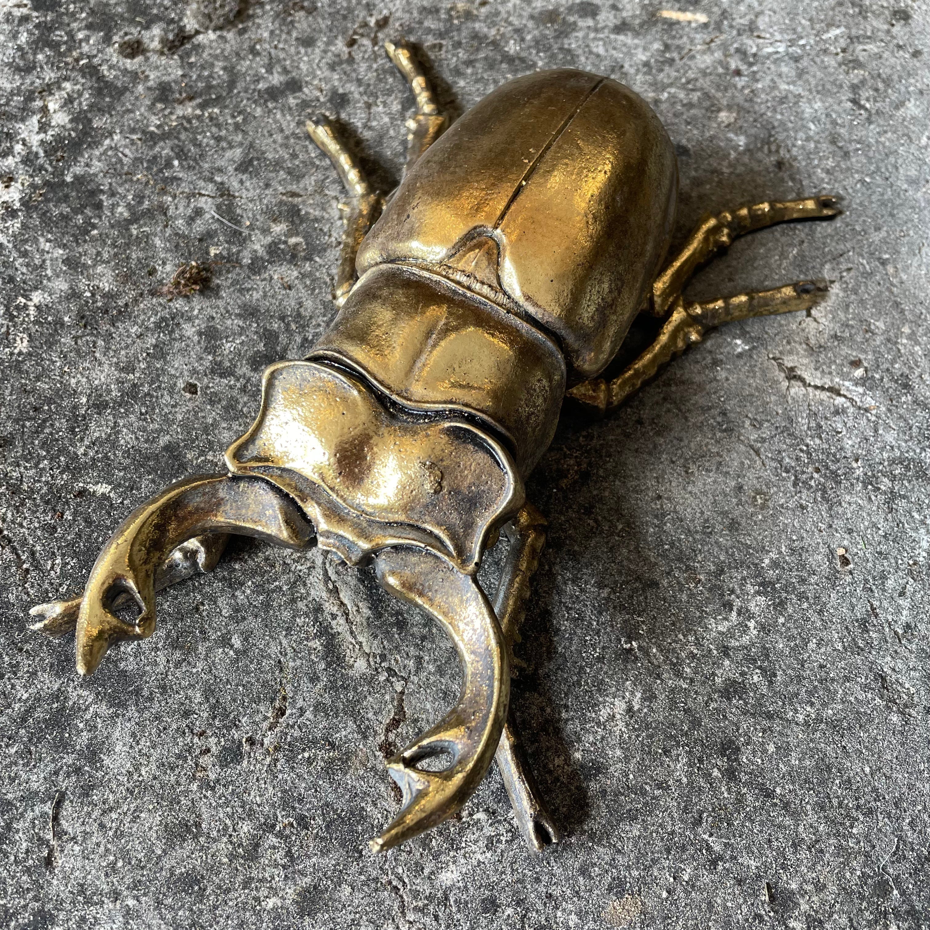 Gold Beetle Wall Décor Wall Art Henderson's