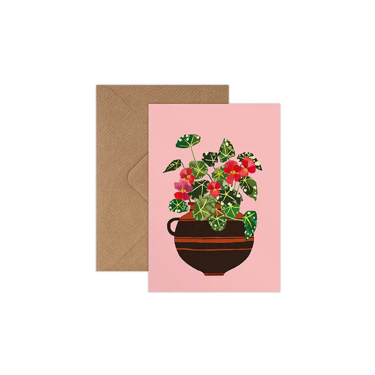 Greetings Cards by Brie Harrison Greetings card Henderson's Begonia