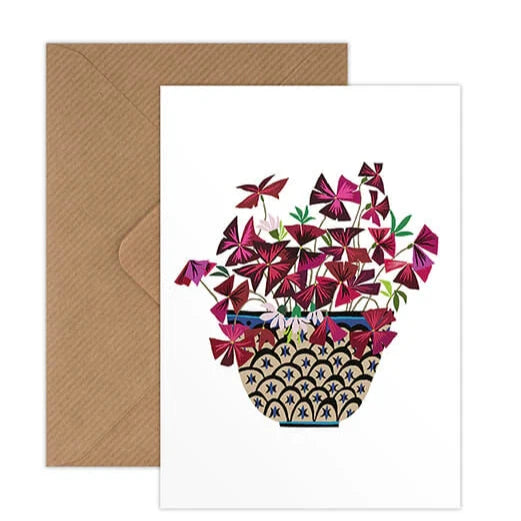 Greetings Cards by Brie Harrison Greetings card Henderson's Oxalis