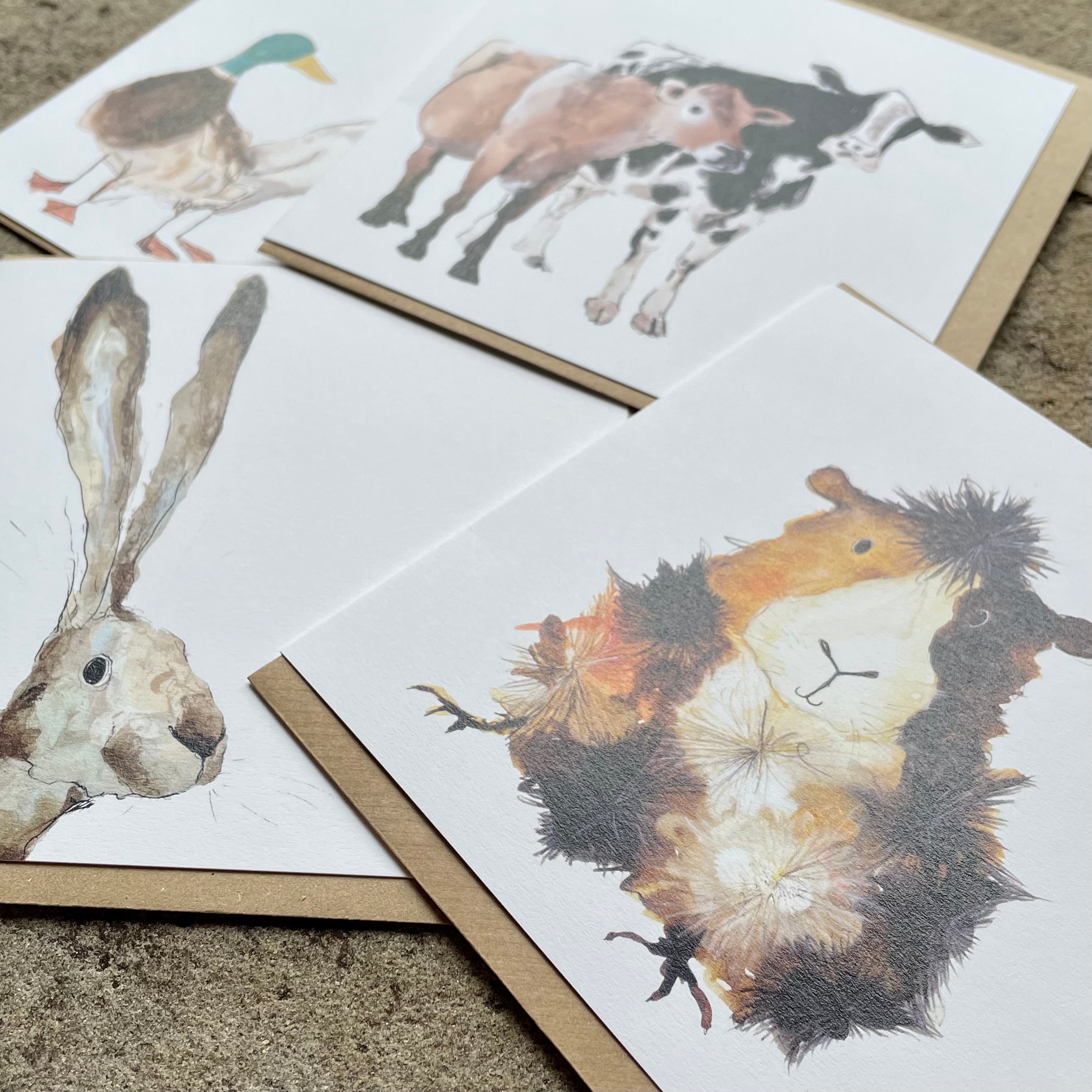 Greetings Cards By Catherine Rayner Greetings card Henderson's