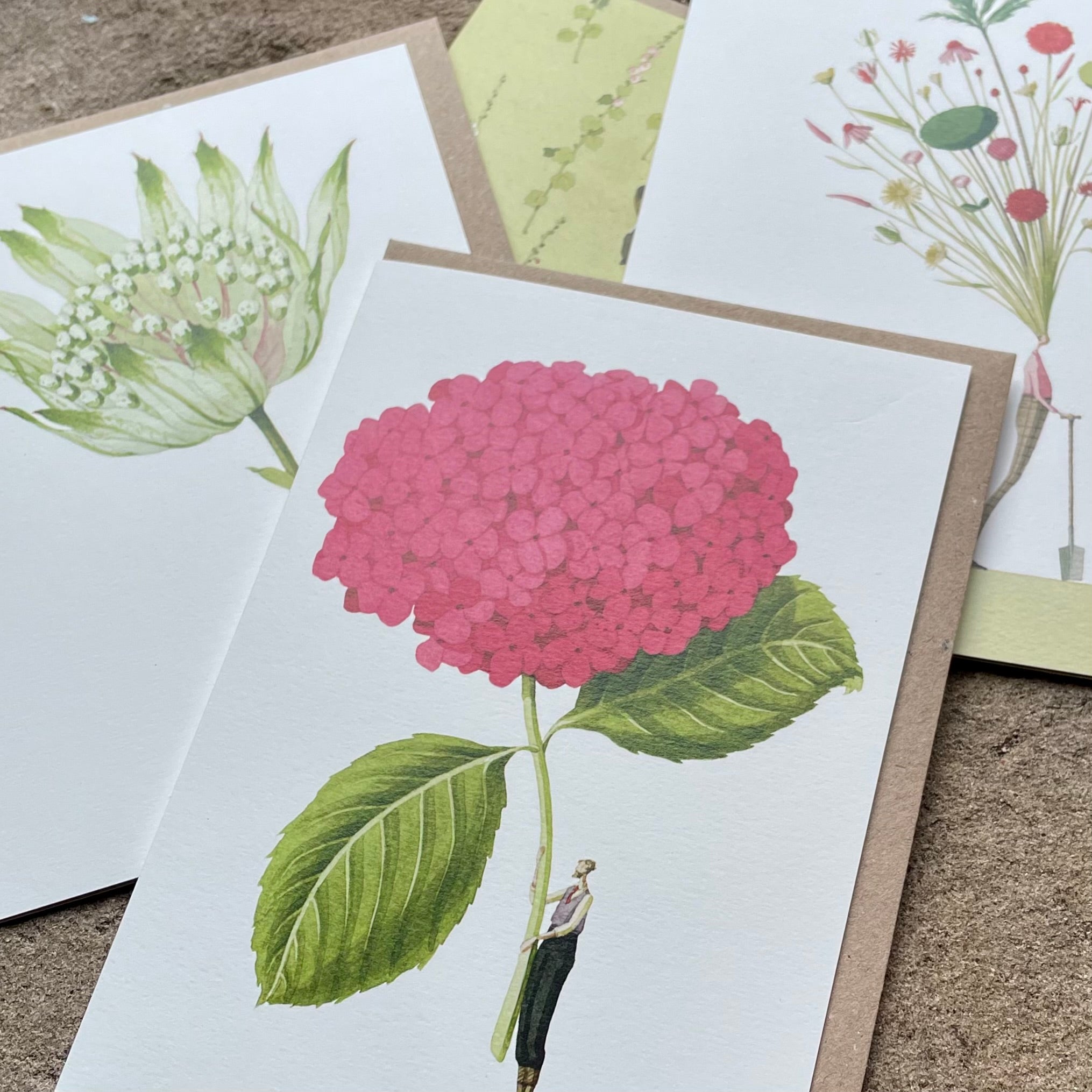 Greetings Cards By Laura Stoddart Greetings card occasion cards Henderson's