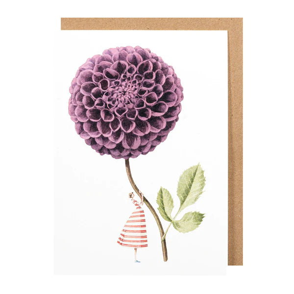 Greetings Cards By Laura Stoddart Greetings card Henderson's Dahlia Purple