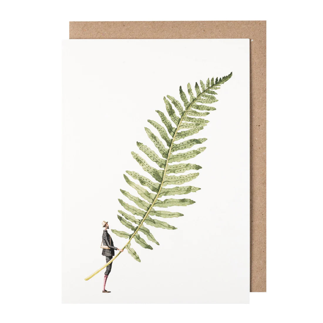 Greetings Cards By Laura Stoddart Greetings card Henderson's Fabulous Fern