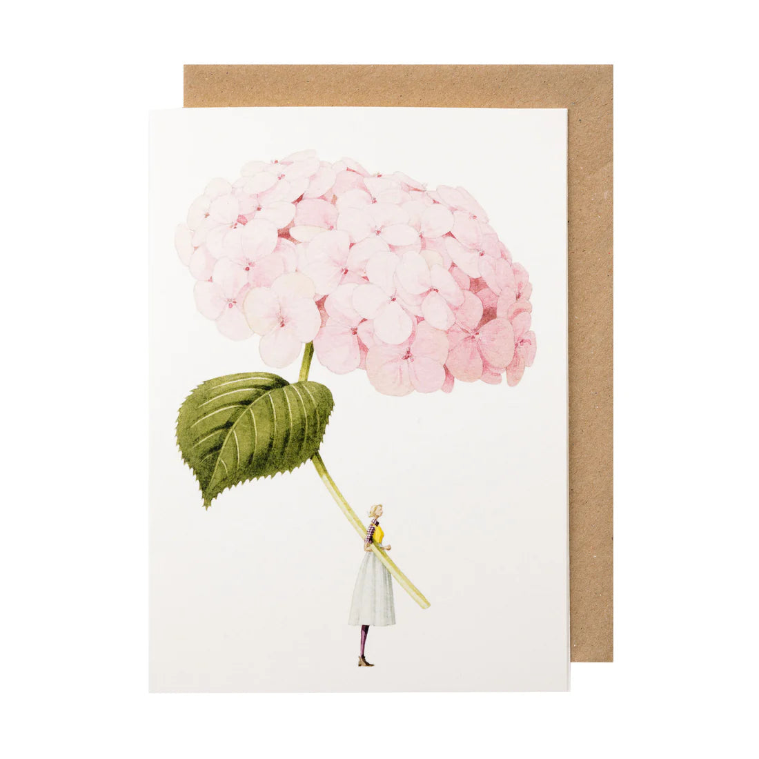 Greetings Cards By Laura Stoddart Greetings card Henderson's Hydrangea 