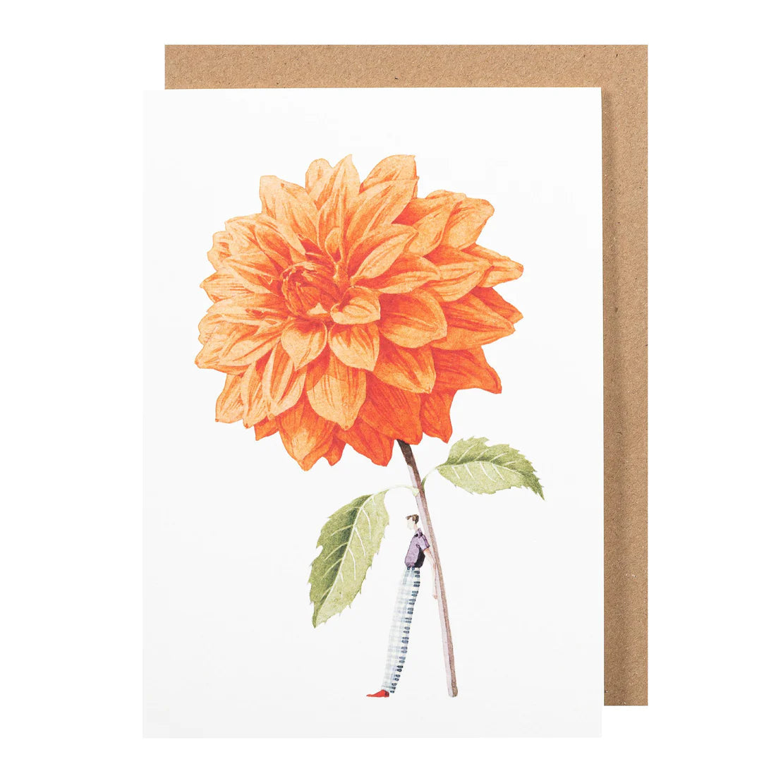 Greetings Cards By Laura Stoddart Greetings card Henderson's Orange Dahlia