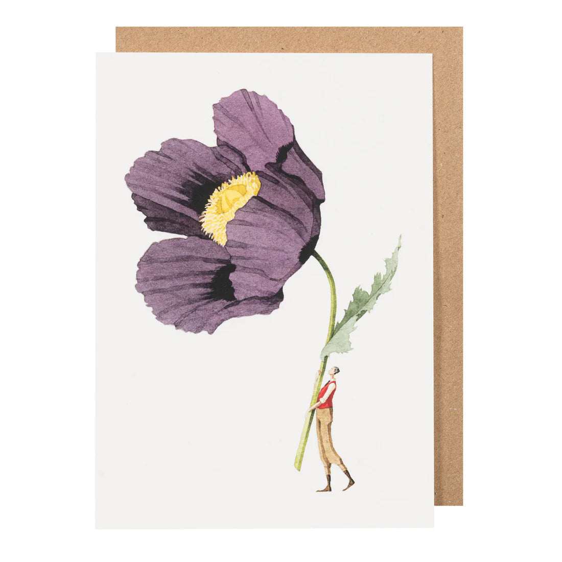 Greetings Cards By Laura Stoddart Greetings card Henderson's Poppy 