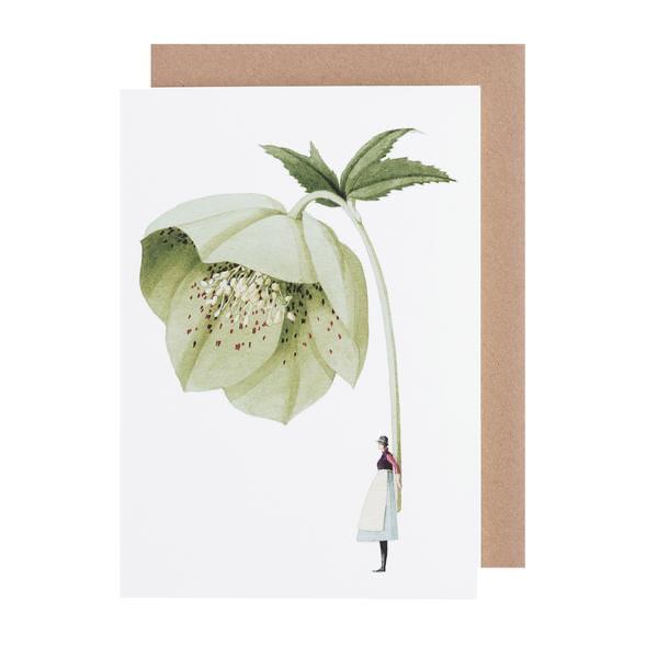 Illustrated Greetings Cards Greetings card Henderson's