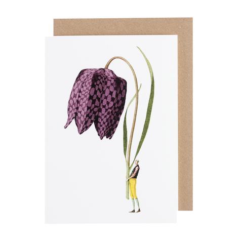 Illustrated Greetings Cards Greetings card Henderson's Fritillary