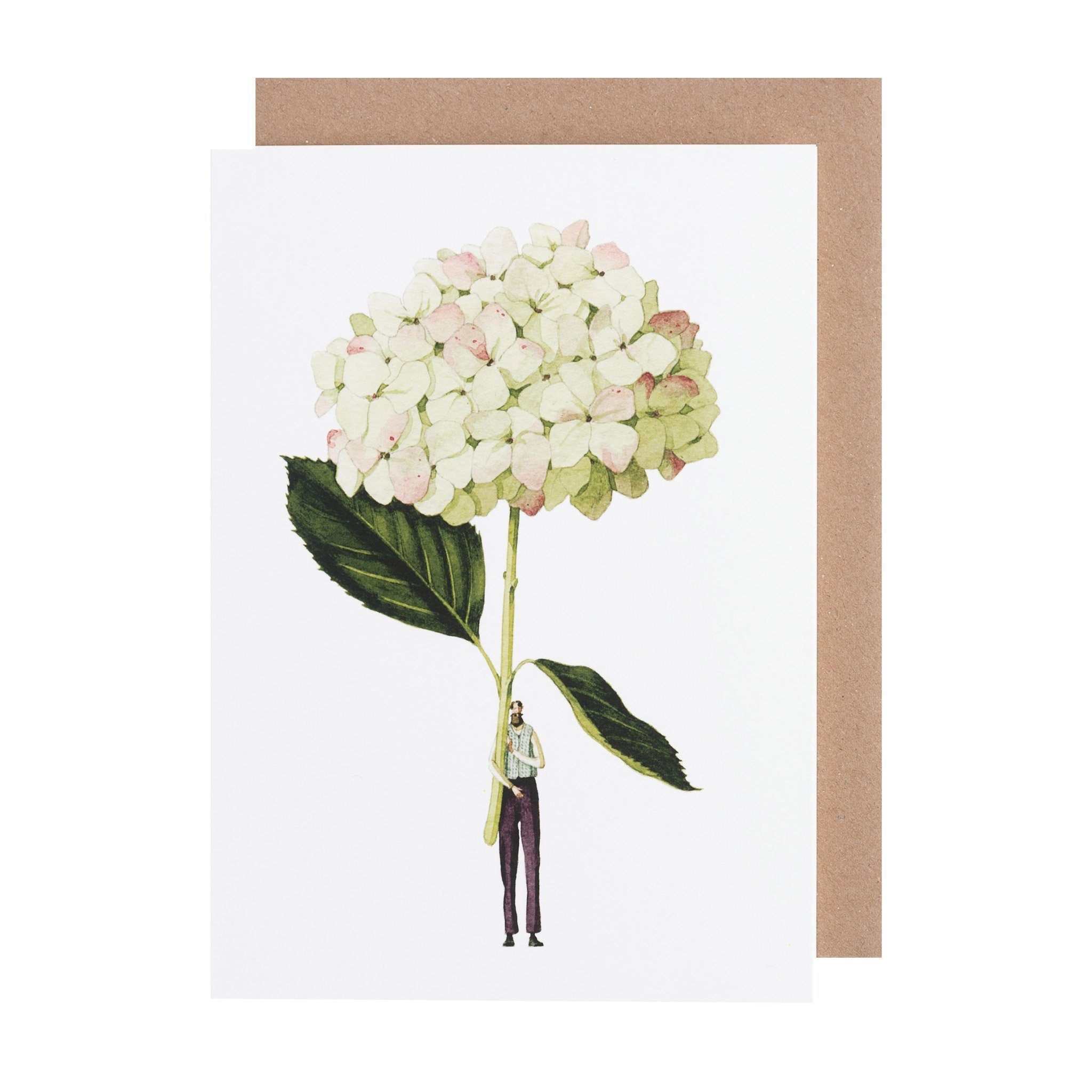 Laura Stoddart Greetings Card Green Hydrangea