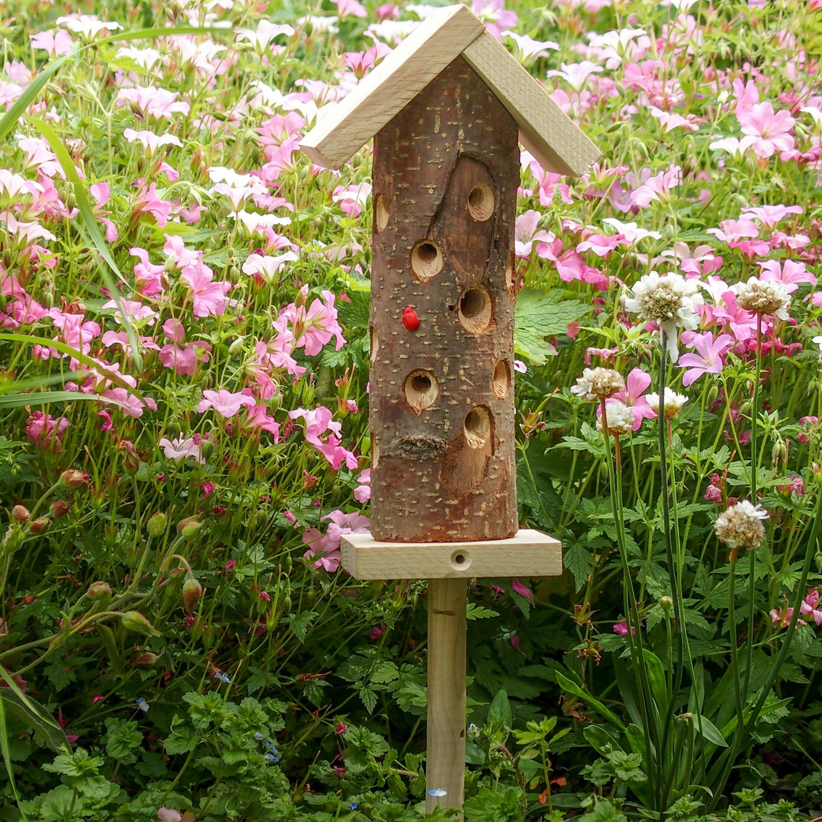 Ladybird Tower Ladybird Tower Henderson's 