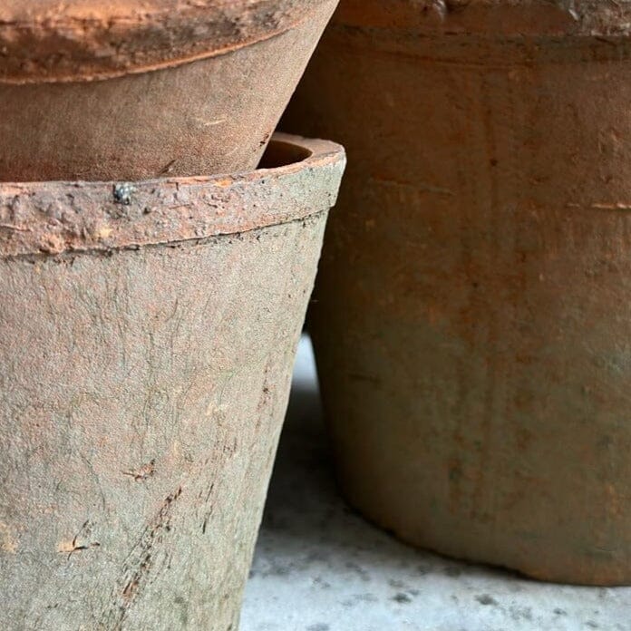 Large Terracotta Plant Pot Terracotta Plant Pot Henderson's 