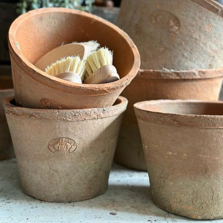 Large Terracotta Plant Pot Terracotta Plant Pot Henderson's