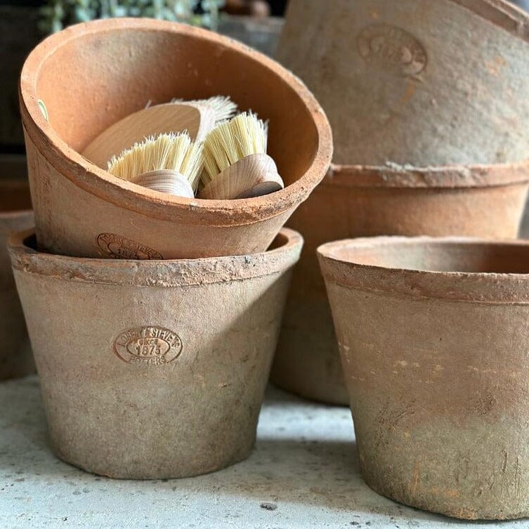 Large Terracotta Plant Pot Terracotta Plant Pot Henderson's 