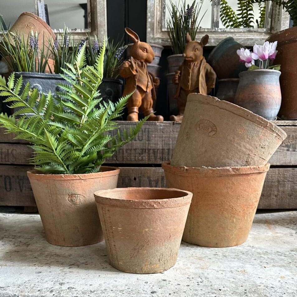 Large Terracotta Plant Pot Terracotta Plant Pot Henderson's 