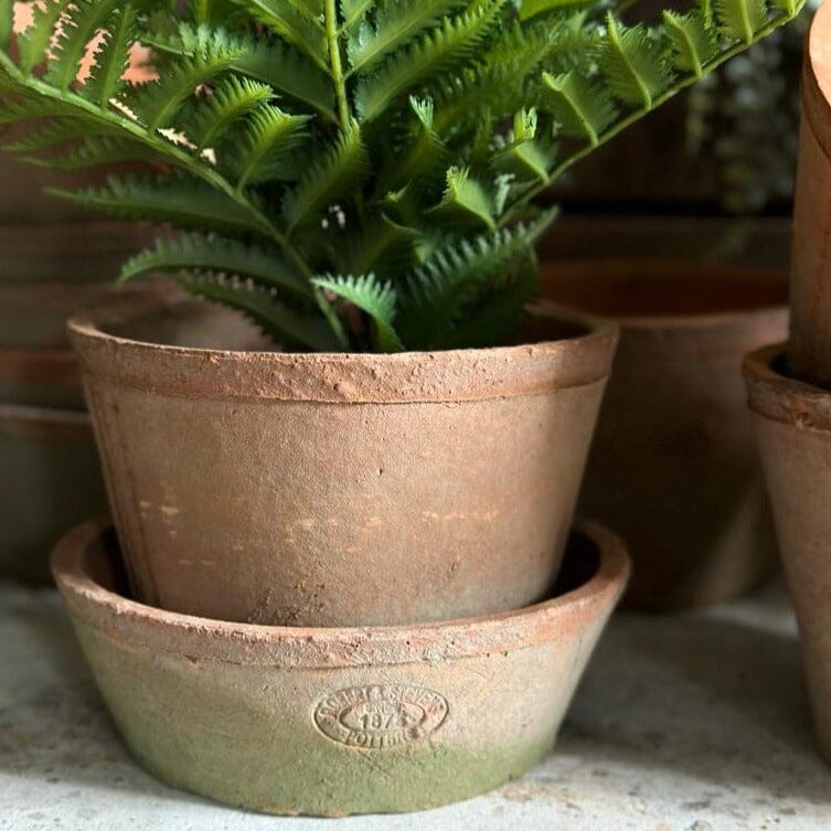 Large Terracotta Plant Pot Terracotta Plant Pot Henderson's Medium