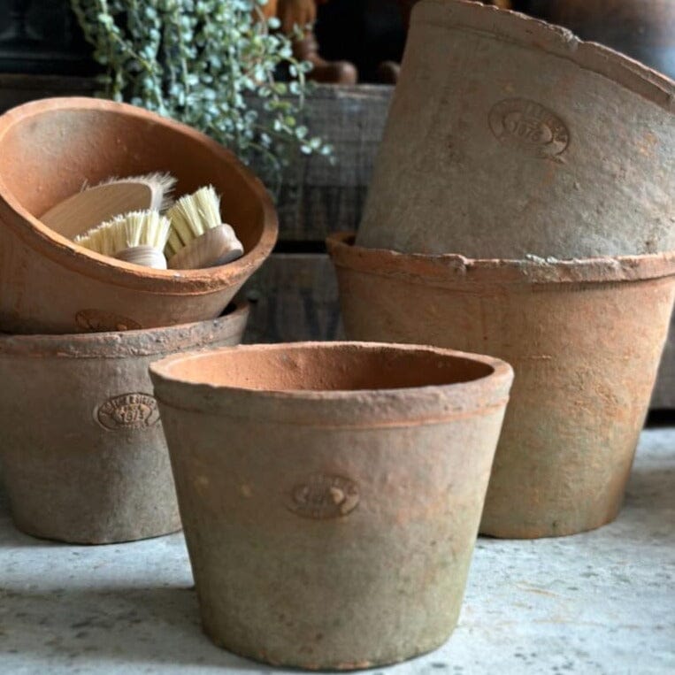 Large Terracotta Plant Pot Terracotta Plant Pot Henderson's Small