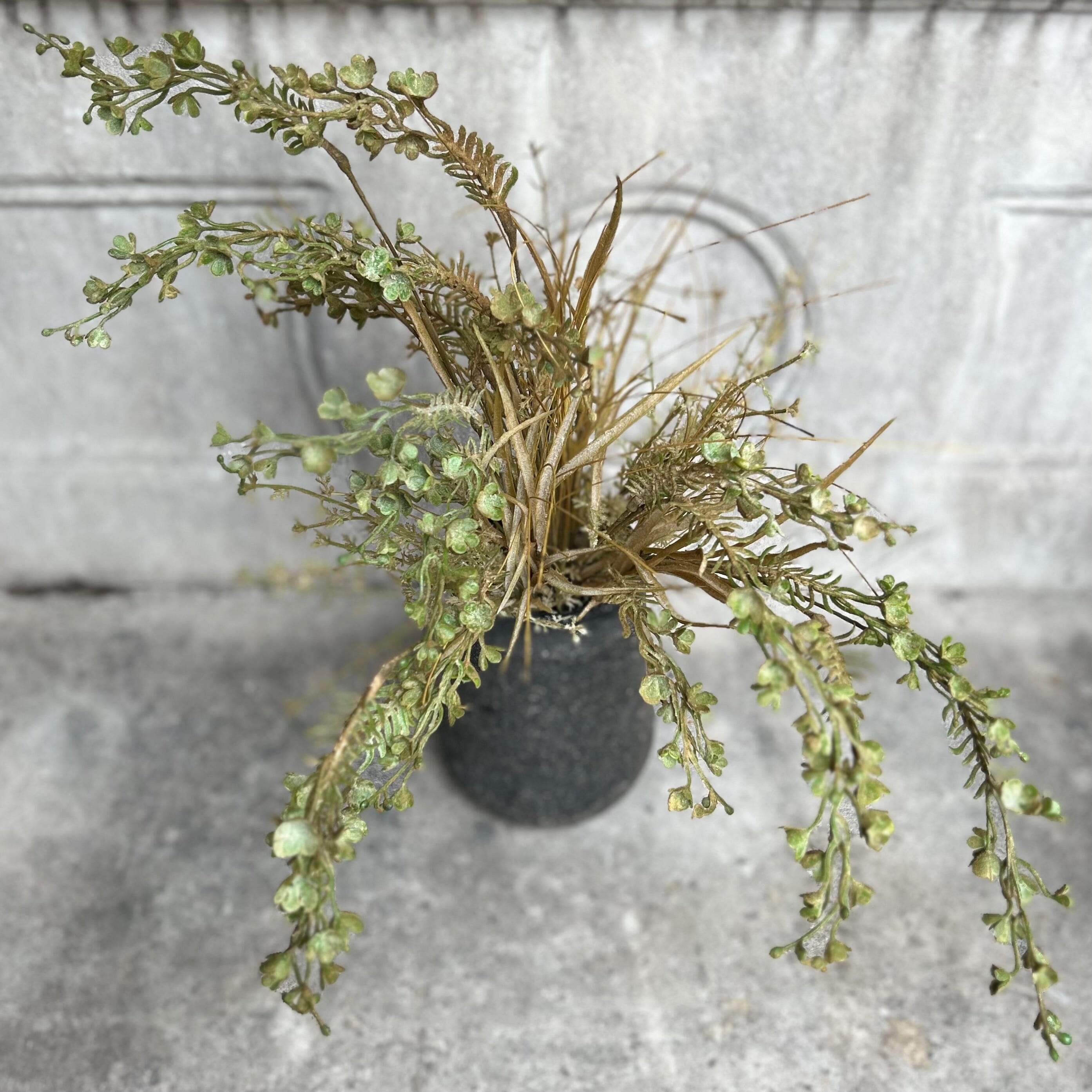 Meadow Buck Grass Faux Botanicals Henderson's
