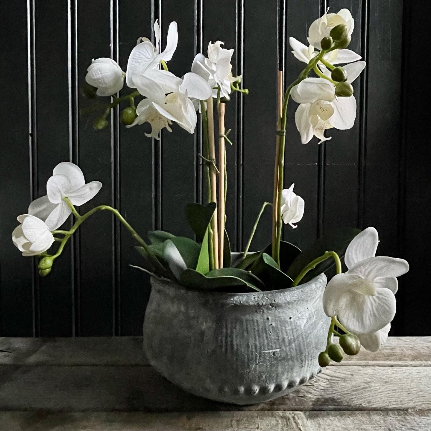 Orchid Plant Faux Plant faux botanical botanical Henderson's