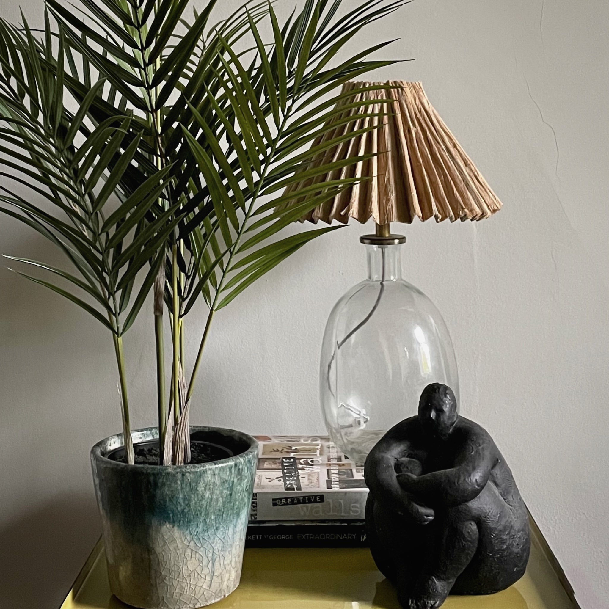 Parlour Palm in Pot Henderson's