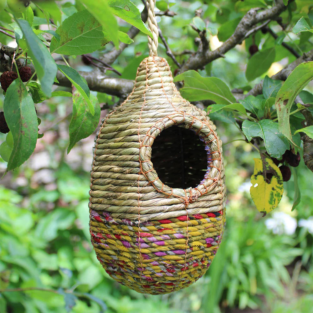 Shesali Bird Nester Nester Pocket Henderson's