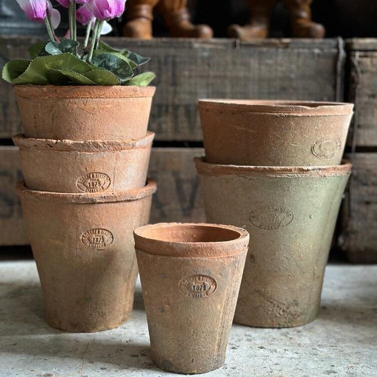 Small Terracotta Plant Pot Terracotta Plant Pot Henderson's Medium