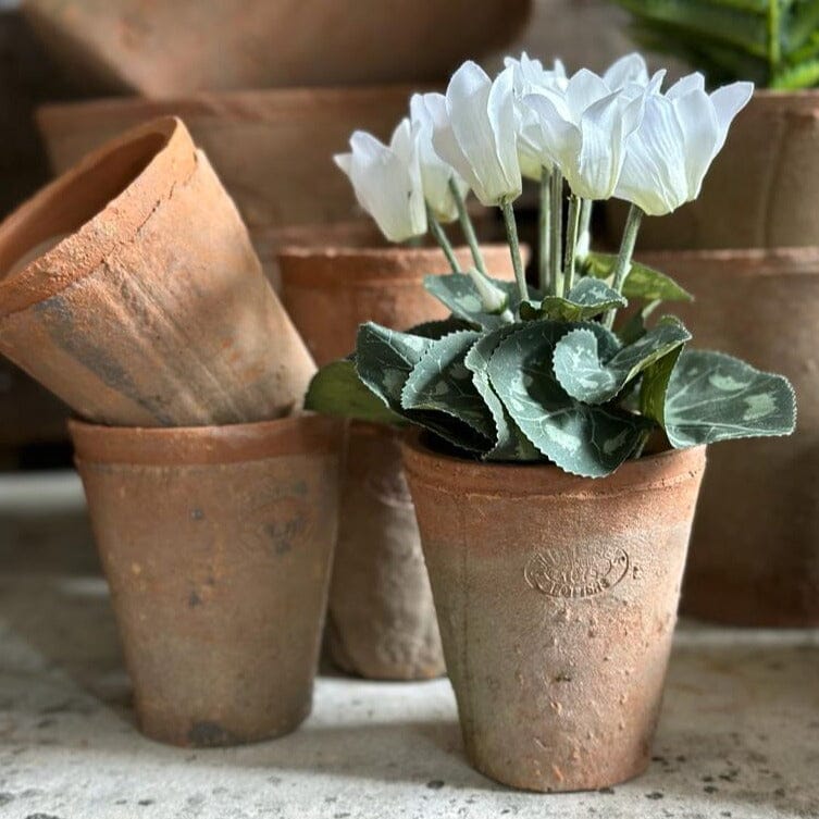 Small Terracotta Plant Pot Terracotta Plant Pot Henderson's Small