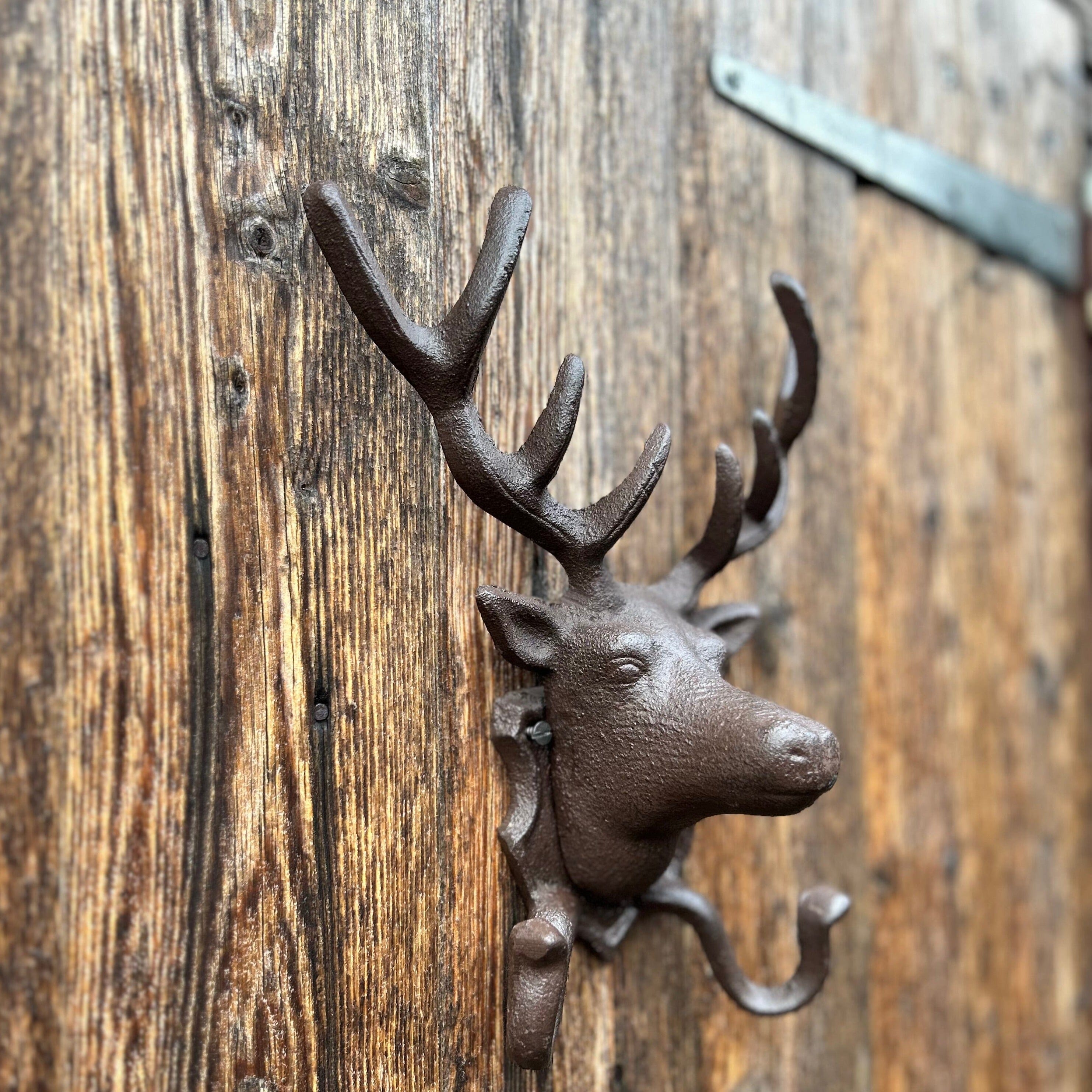 Stag Head Coat Hook Coat Hook Henderson's