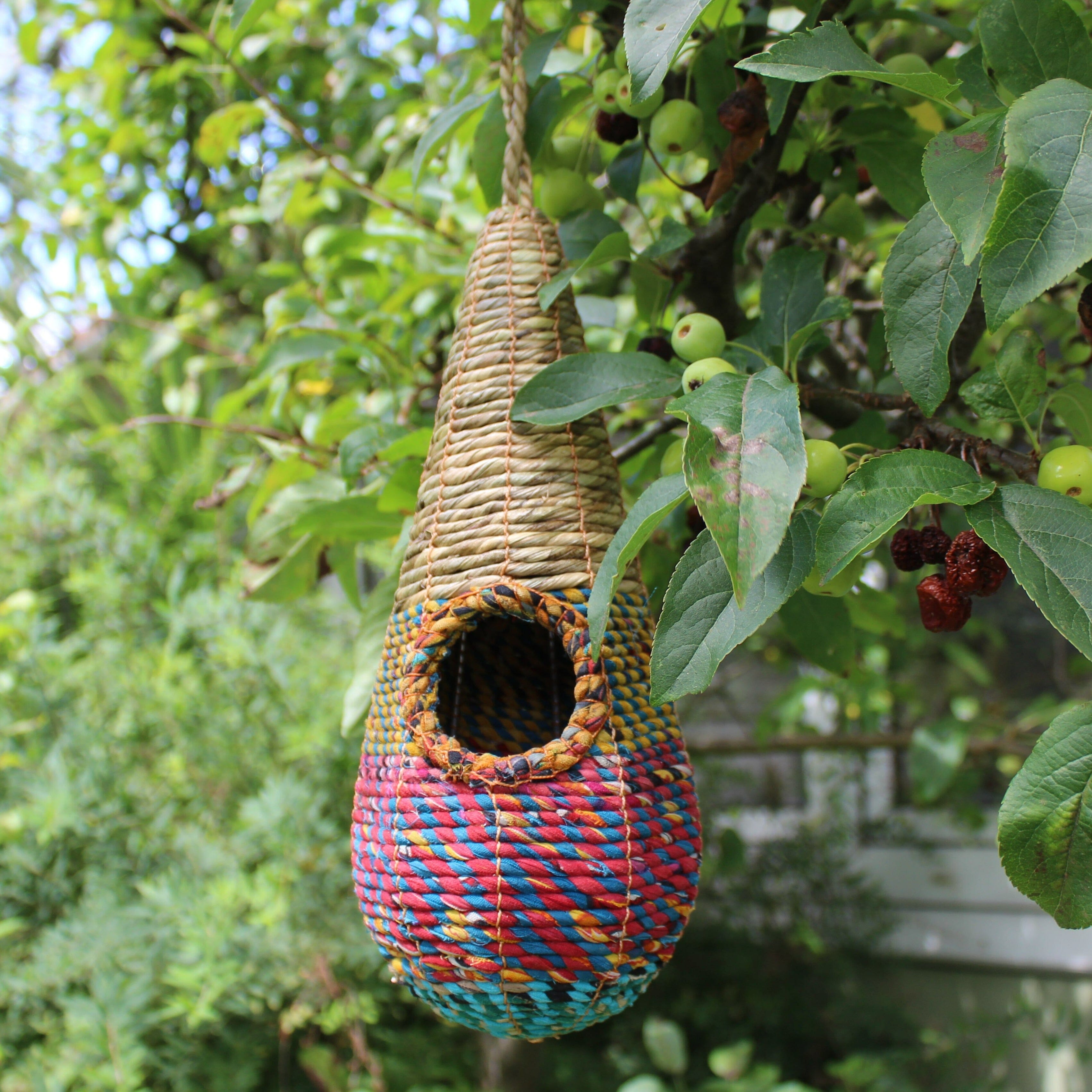 Tahera Bird Nester Nester Pocket Henderson's