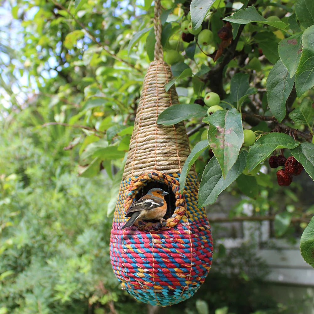 Tahera Bird Nester Nester Pocket Henderson's