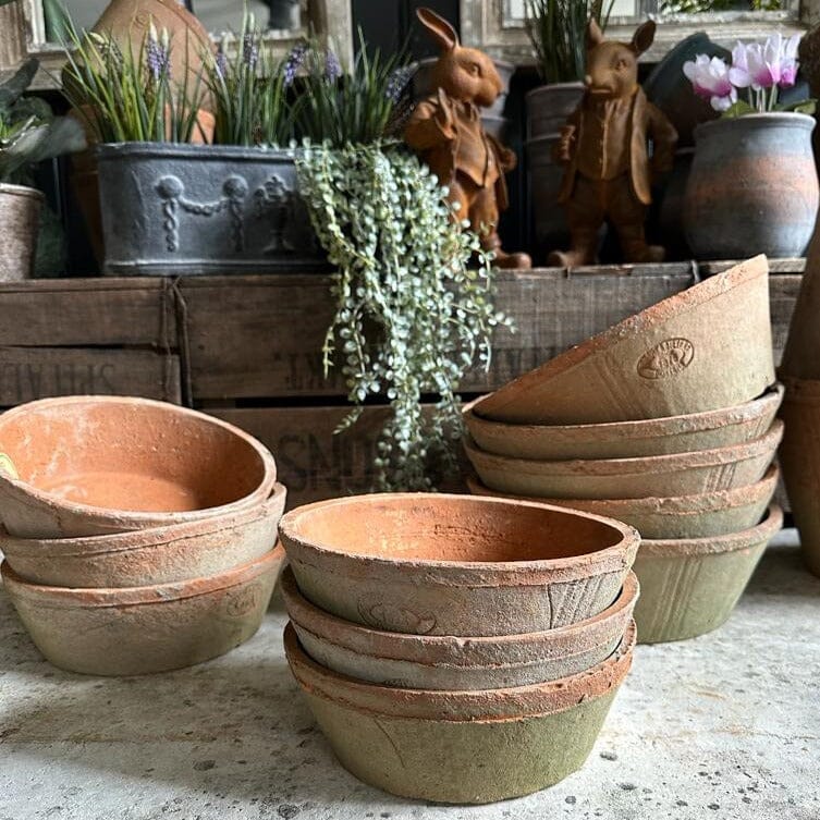 shallow terracotta pots for succulents uk Terracotta Bowl Planter | Flower Pot | Garden Accessories