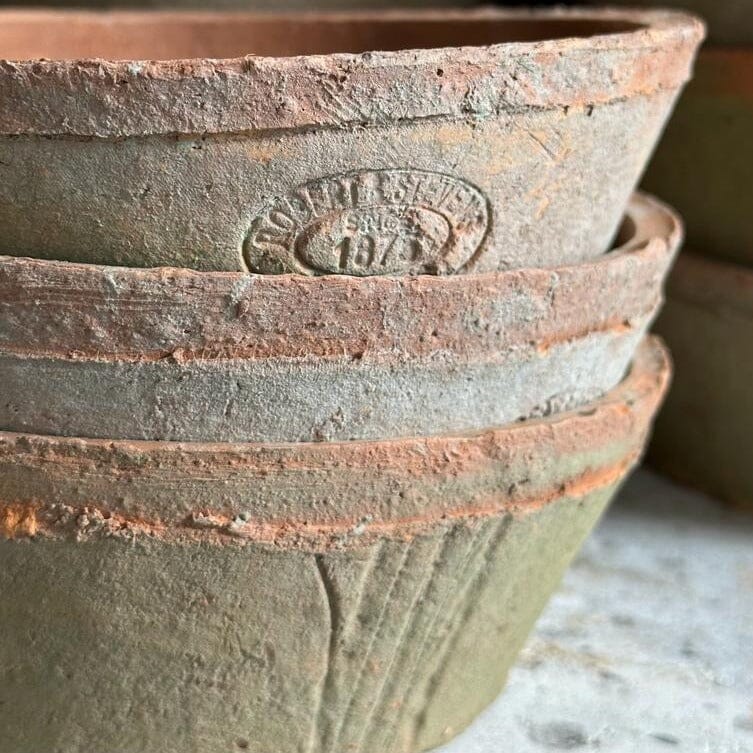 Terracotta Bowl Planter Terracotta Plant Pot Henderson's 