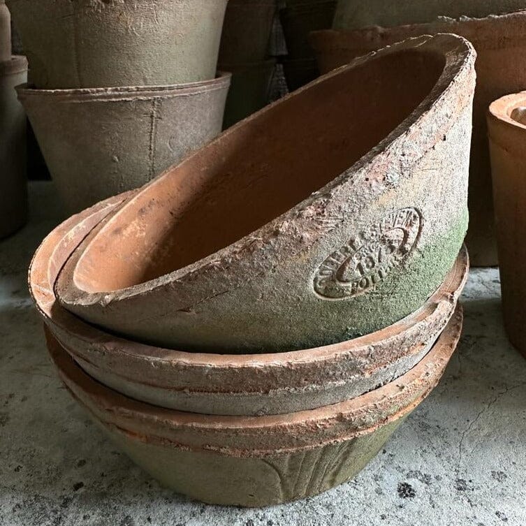 Terracotta Bowl Planter Terracotta Plant Pot Henderson's