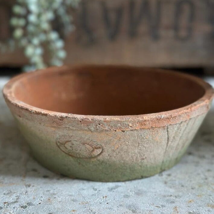 Terracotta Bowl Planter Terracotta Plant Pot Henderson's Small 