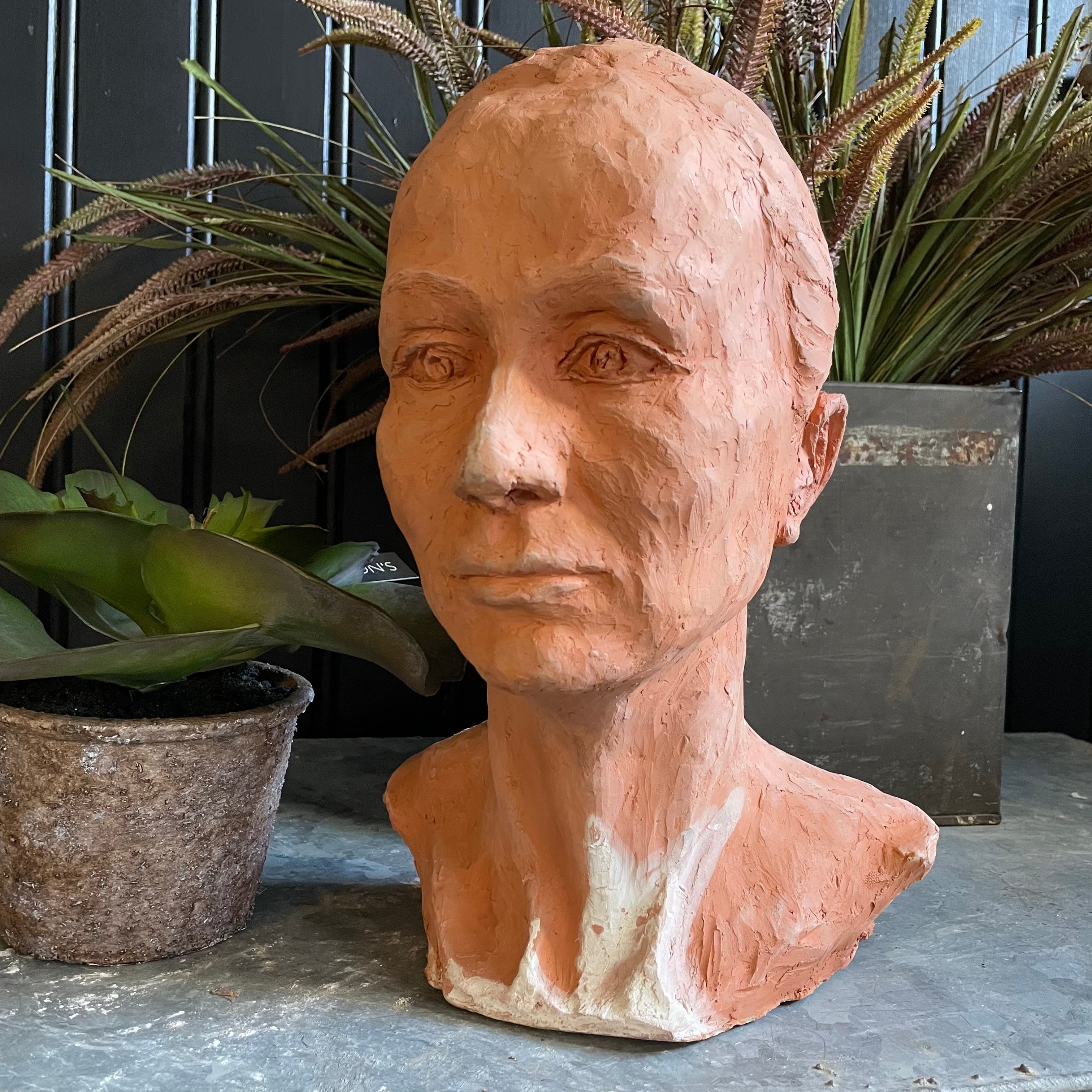 Terracotta Bust Henderson's