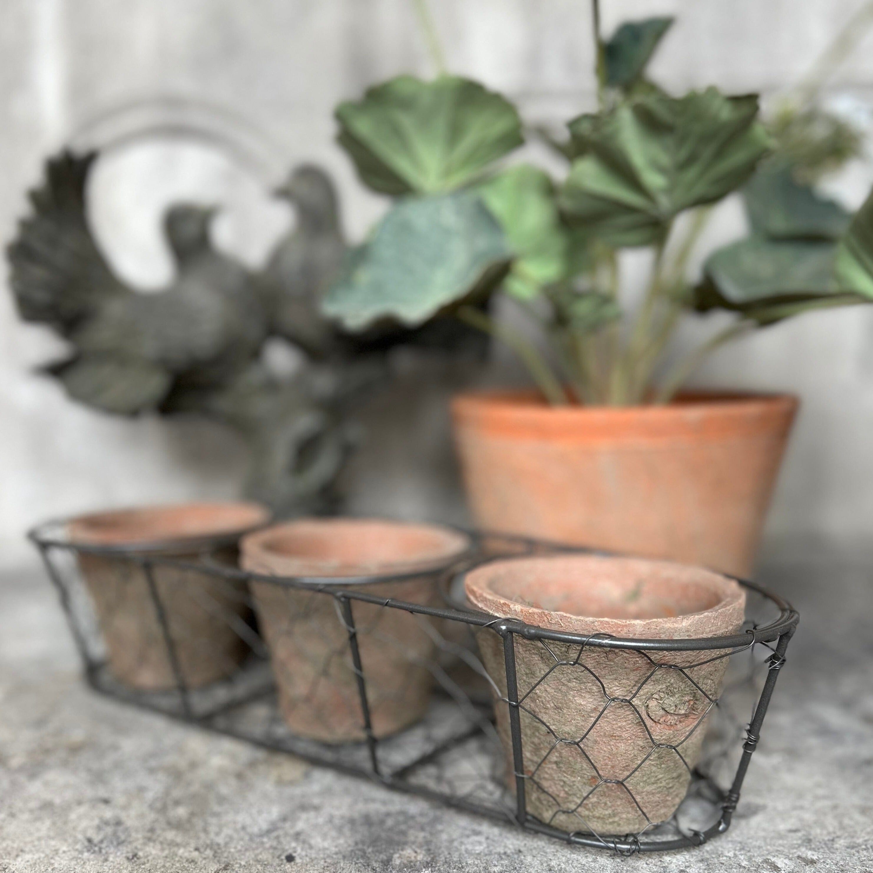 Trio Of Aged Terracotta Pots In Wire Basket Terracotta Pots Henderson's 