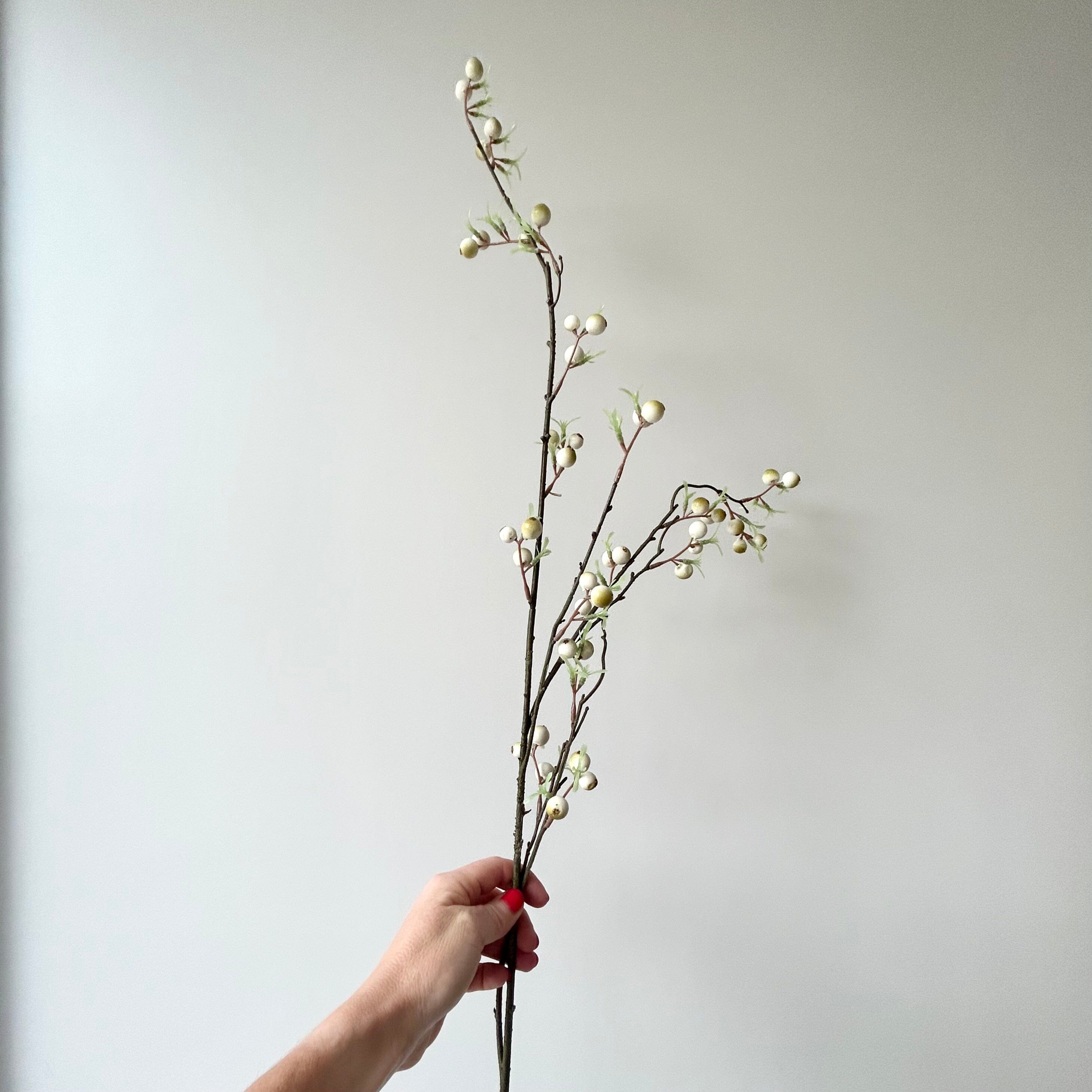 White Cornus Berry Branch Faux Berry Branch Henderson's