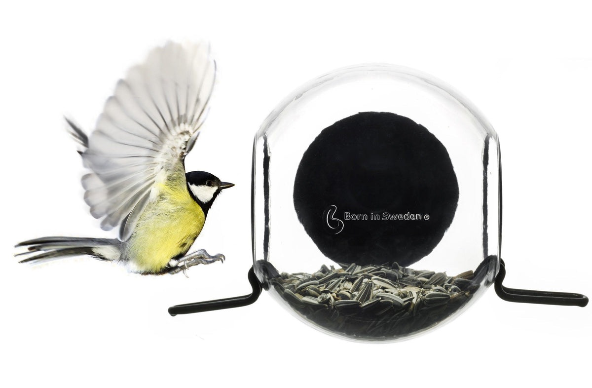 Window Bird Feeder Bird Feeders Henderson's