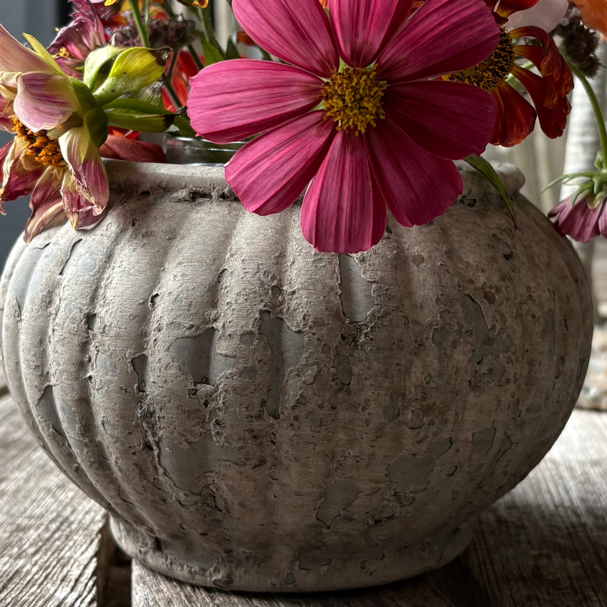 Barnacle Pot