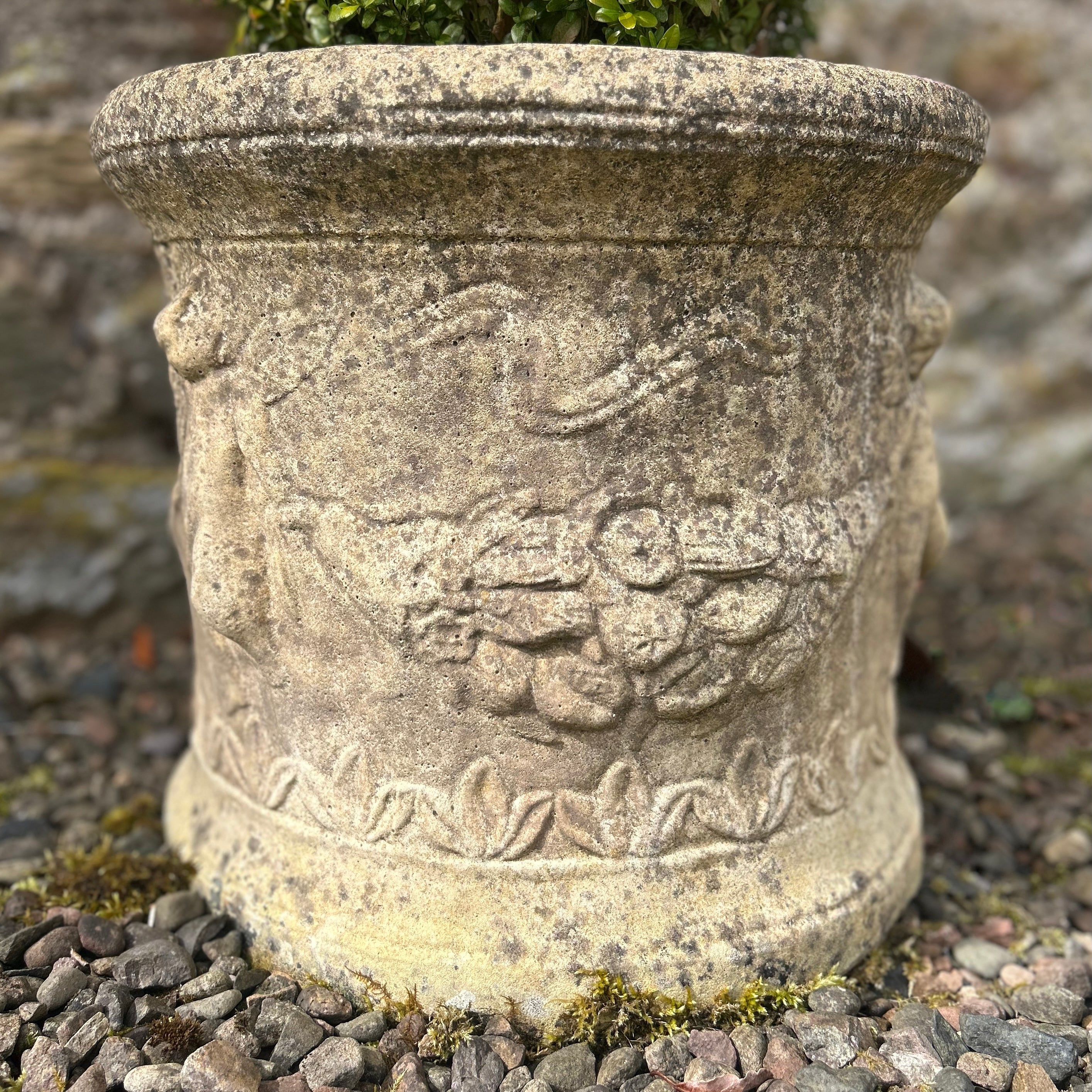 Reclaimed Planter with Putti Design & Buxus Ball