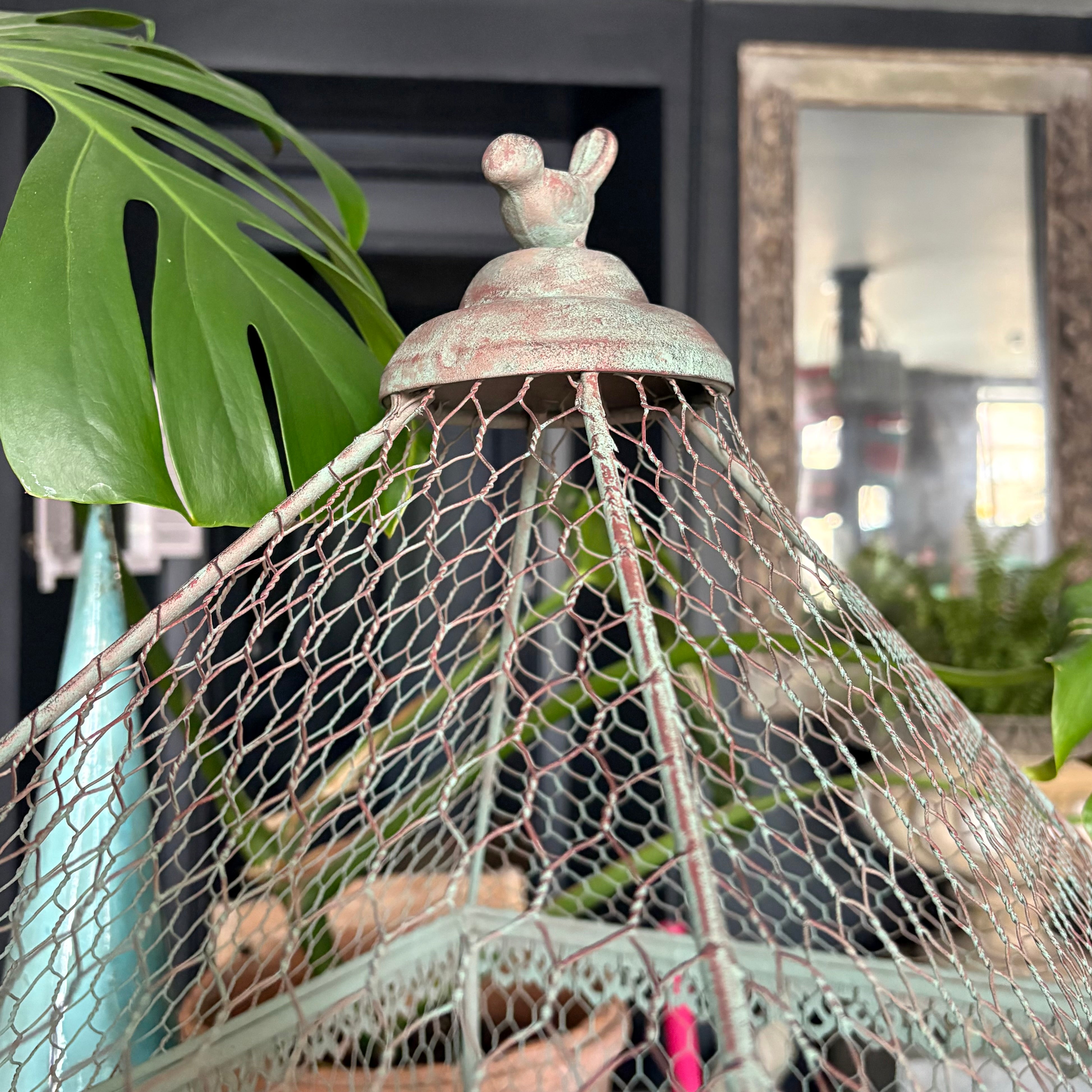 Birdcage Plant Theatre