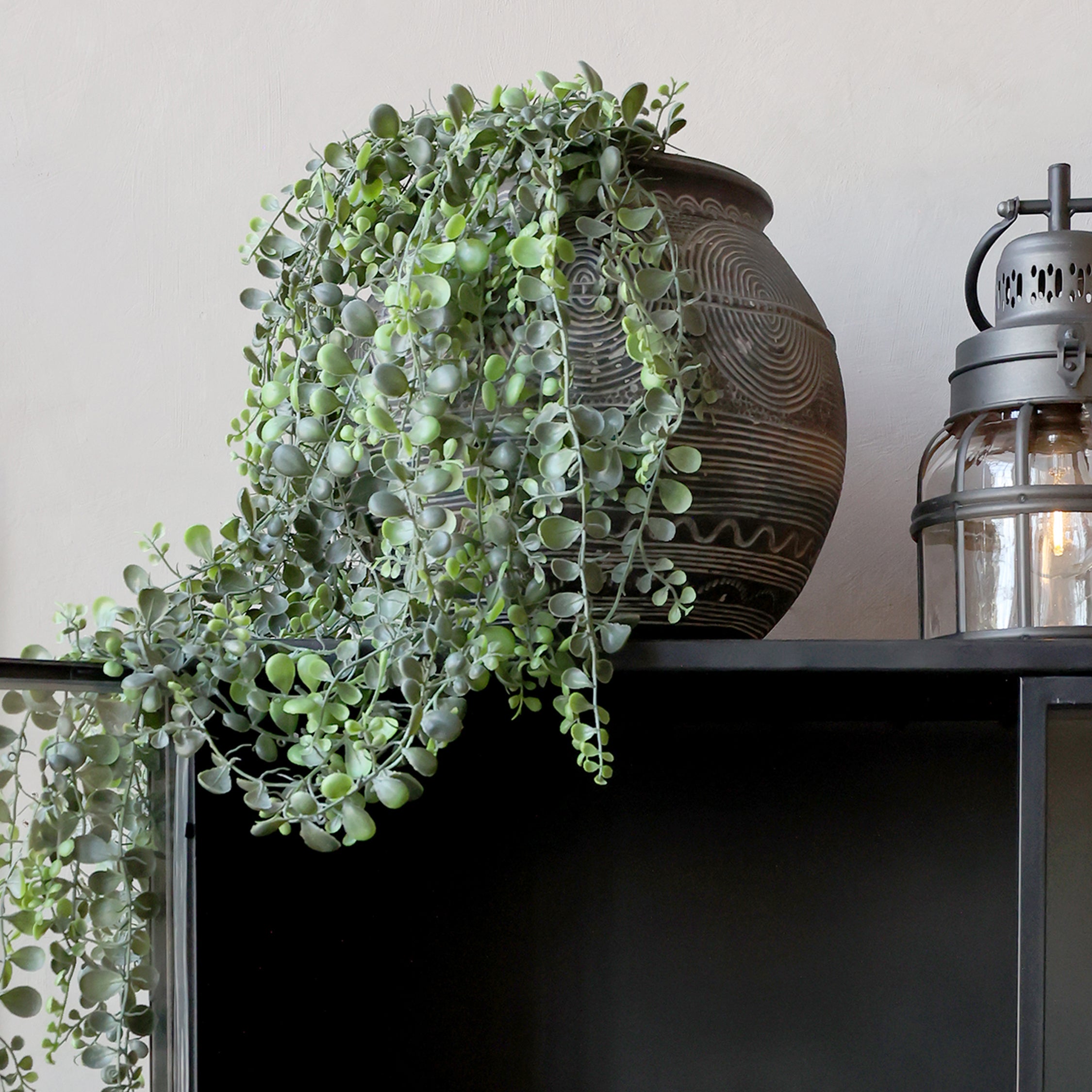 Trailing String of Pearls