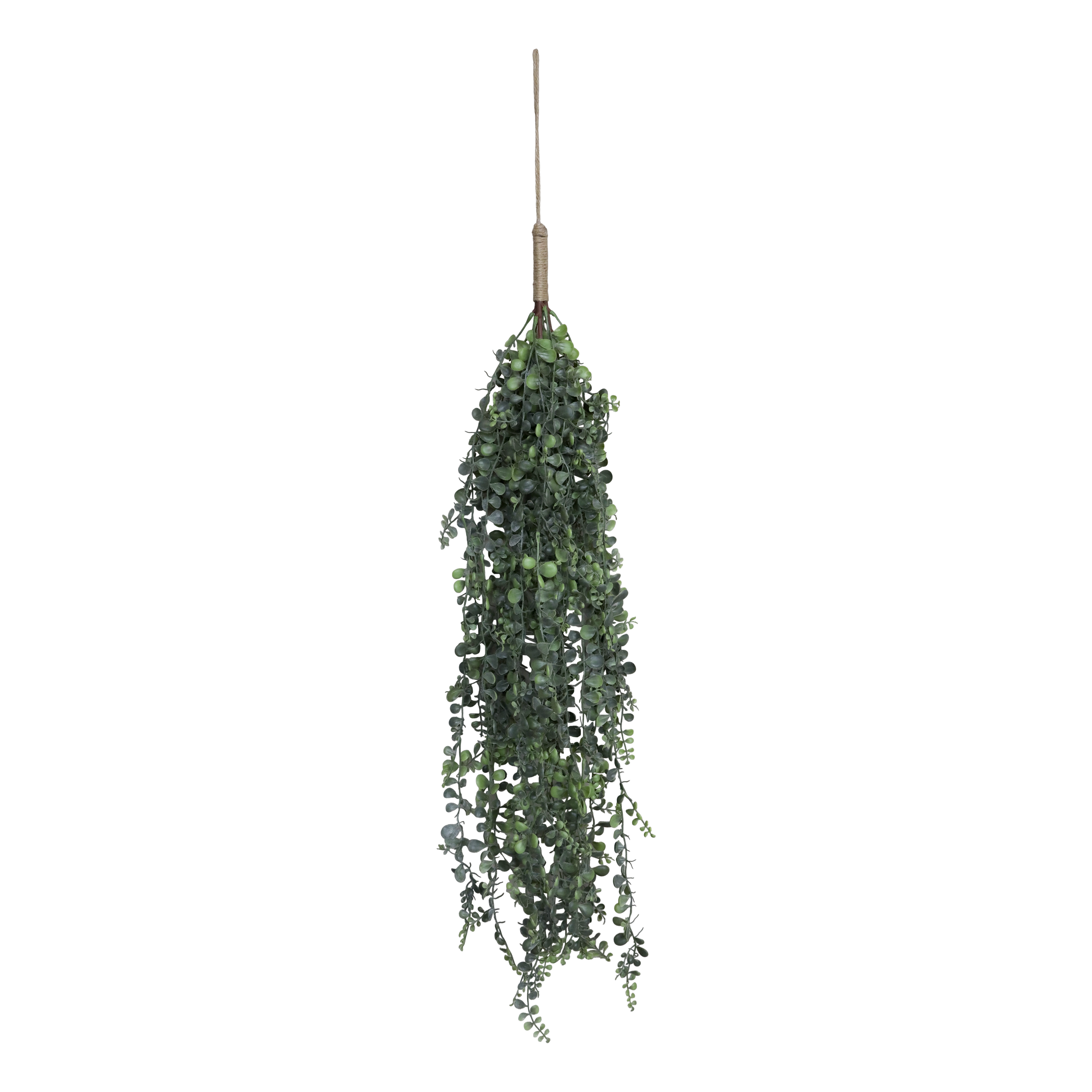 Trailing String of Pearls