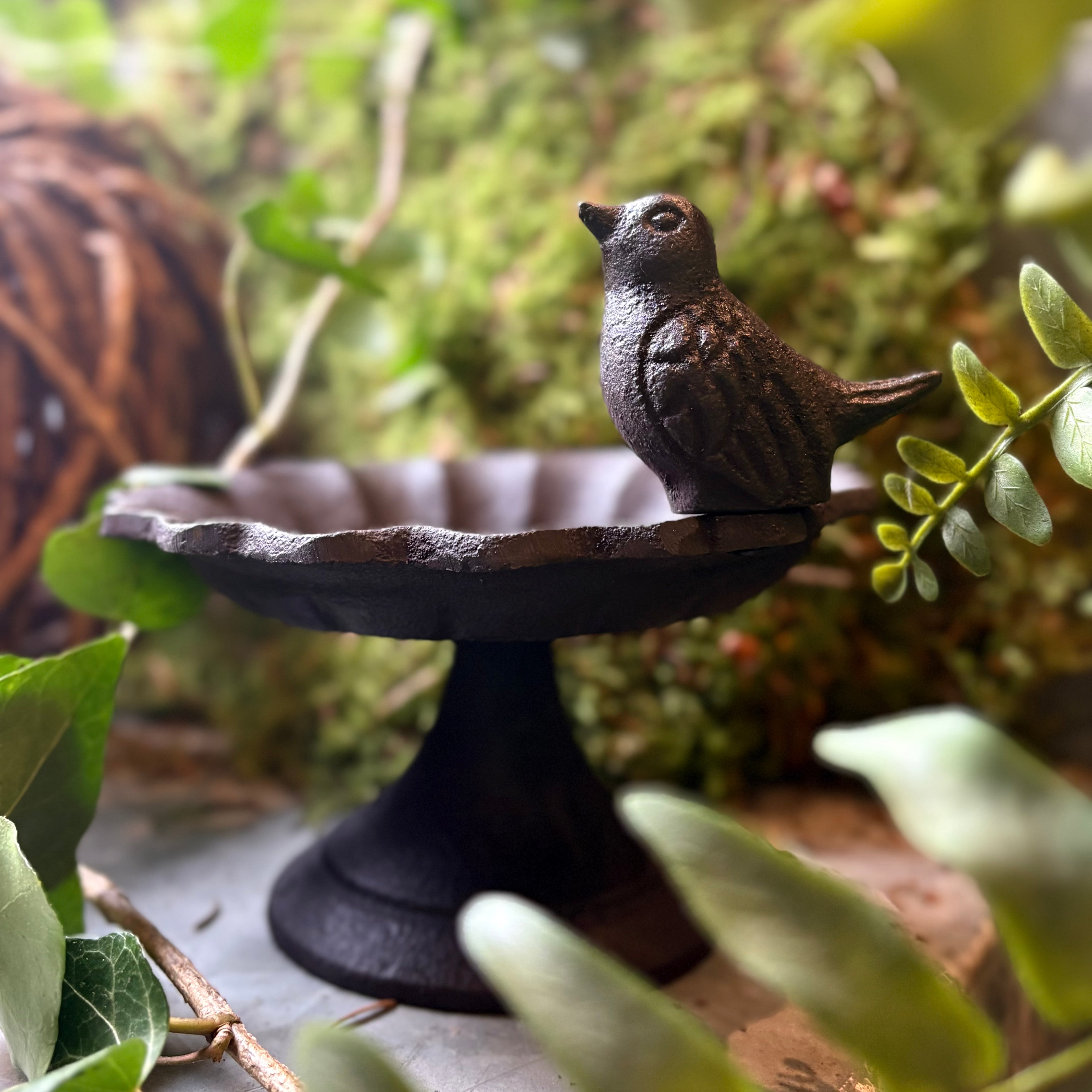 Decorative Iron Bird Bath/ Feeder