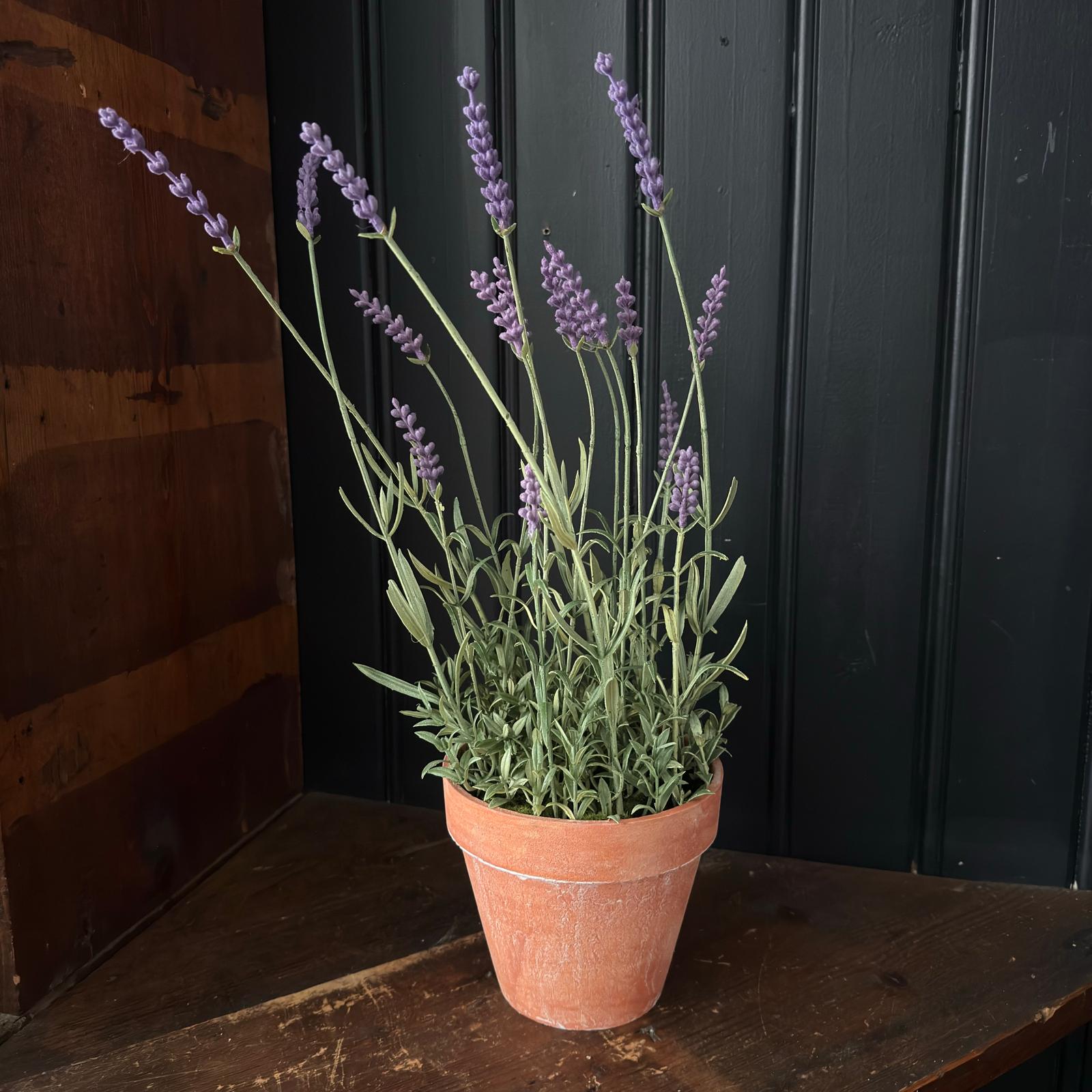 Faux English Lavender Plant