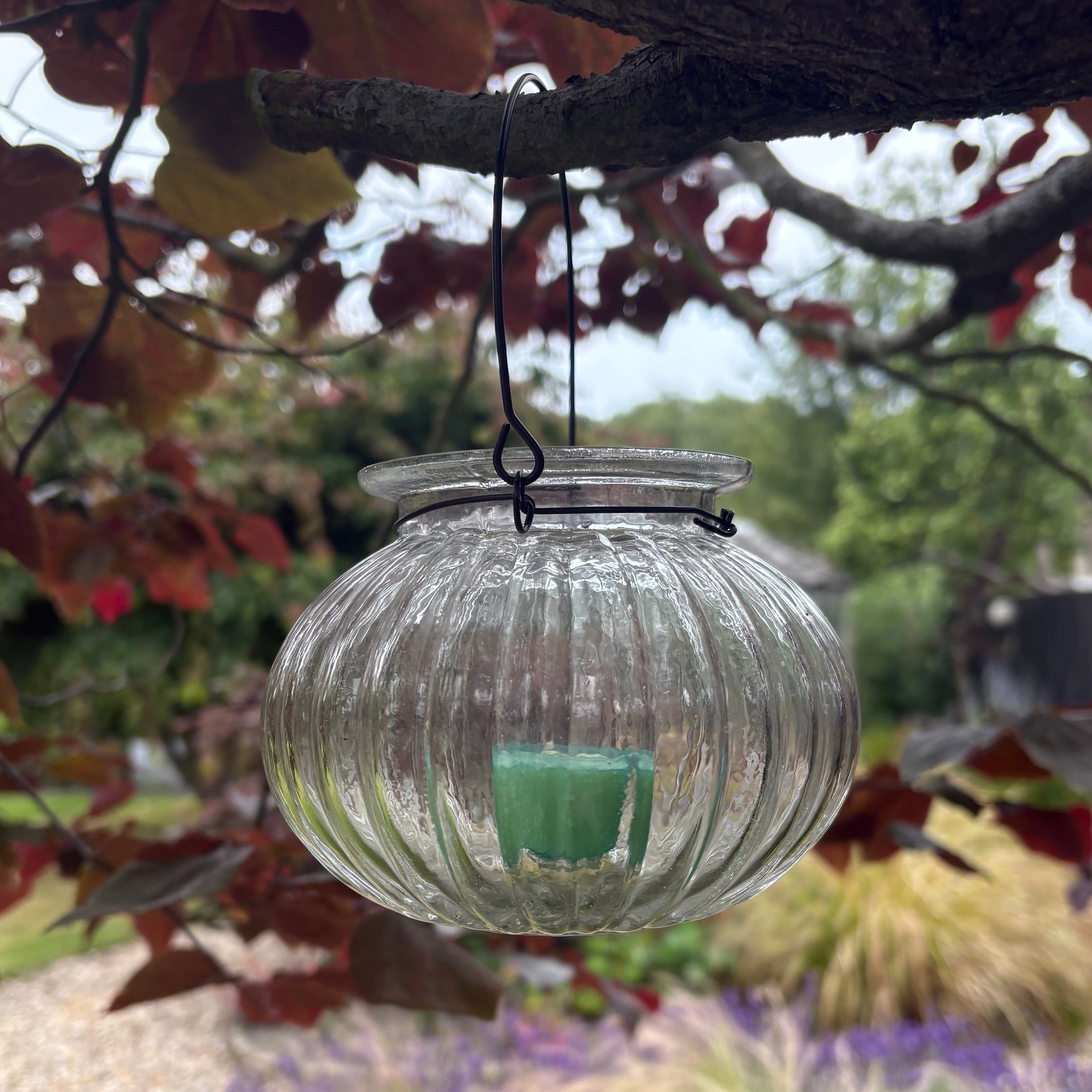 Bina Glass Hanging Lantern